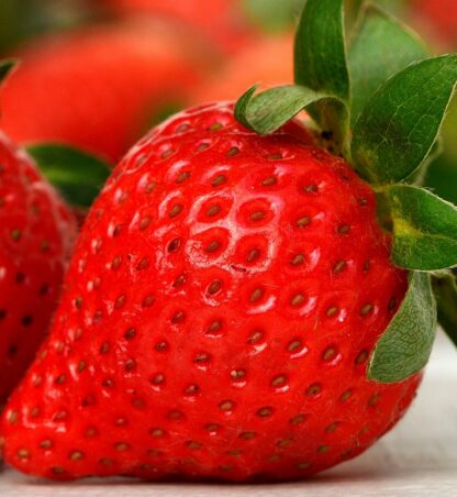 Fraises ravier 250gr
